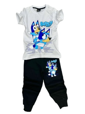 BLUEY komplet t-shirt spodnie 134-140 cm 9-10 lat
