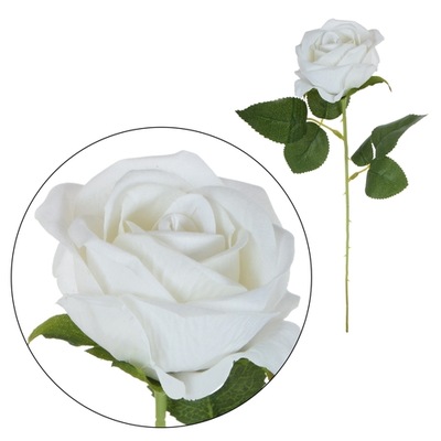 Róża xl duża jak Żywa 50 cm róże długa gałązka