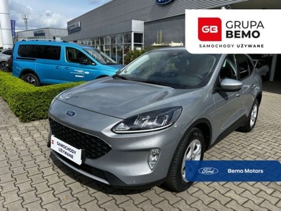 Ford Kuga Dealer Salon PL.