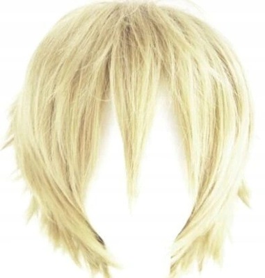 Men's Short Cosplay Wig Hairpiece