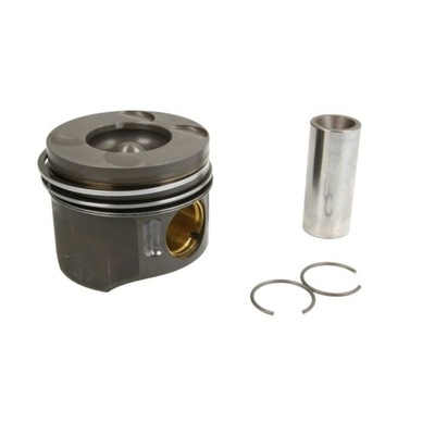 Поршень nural фото №1