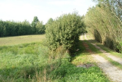 Działka, Szymanowo, Sorkwity (gm.), 1587 m²