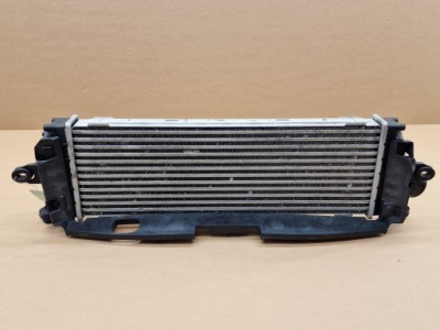 Радіатор повітря інтеркулер trafic ii vivaro a primastar 2.0dci 2.5dci фото №1