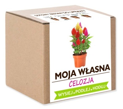 CELOZJA Zestaw Do Uprawy