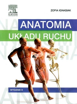 ANATOMIA UKŁADU RUCHU