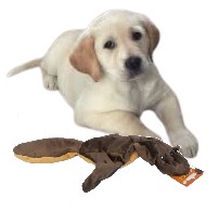 ZABAWKA PLUSZOWA PISZCZĄCA DLA PSA