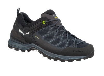 Buty Męskie Salewa MTN Trainer Lite Gtx black/black 43