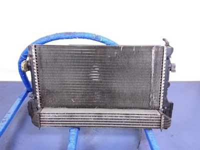 Skoda fabia ii 1.6 tdi радіатор wody вентилятор фото №1