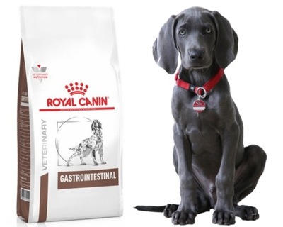Royal Canin Vet Diet Canine Gastrointestinal 2kg