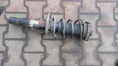 Амортизатор правий перед seat cordoba 1.4tdi 07r фото №1