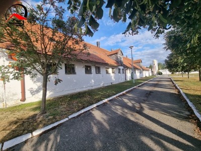 Magazyny i hale, Nowe Dąbie, 6194 m²
