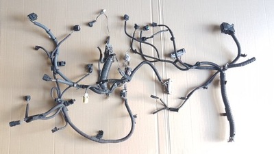 Электропроводка левая перед lexus rx 15-21 фото №1