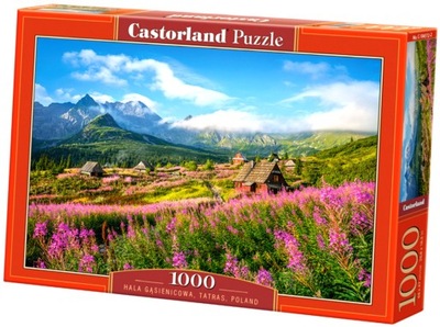 Puzzle 1000 elementów. Hala Gąsienicowa