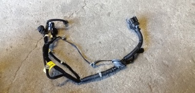 Kia carnival ii 06-14 електропроводка двері правий задня фото №1