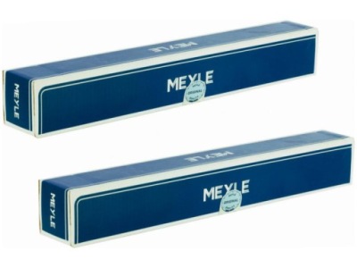 Амортизаторы перед renault kangoo i 1.1-1.9 97-08 фото №1