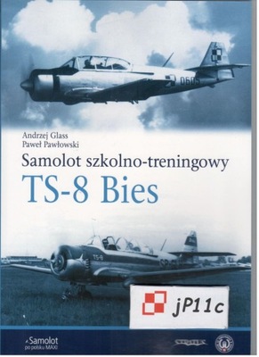 Samolot Szkolno-Treningowy TS-8 BIES - Stratus