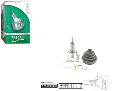 PASCAL MUÑÓN DE ACCIONAMIENTO EXTERIOR (22Z/22Z/52MM A  