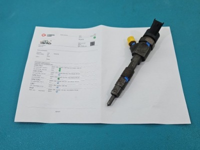 Форсунка mitsubishi space star 0445110021 1.9 dci фото №1