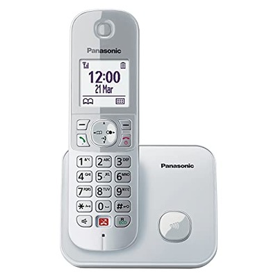 Telefon bezprzewodowy Panasonic KX-TG6851GS