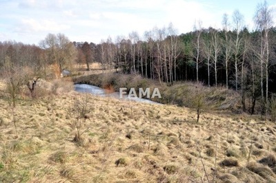 Działka, Orle, Topólka (gm.), 5796 m²