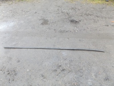 C-max lift молдинг дахова права фото №1