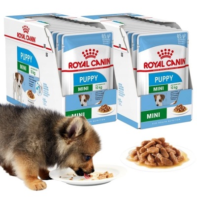 ROYAL CANIN Mini PUPPY JUNIOR mokra karma 24x85g