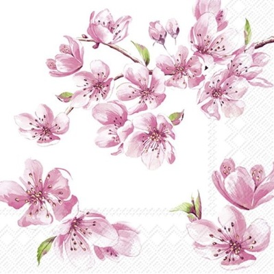 SAKURA serwetki ozdobne papierowe 33x33 cm kwiaty wiśni
