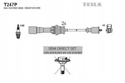 TESLA BLATNÁ T247P KOMPLEKTAS LAIDŲ UŽDEGIMO 