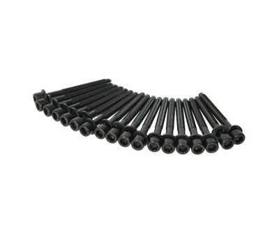 Болты головки nissan murano navara 2,5 dci yd25 фото №1