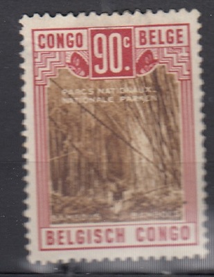 Kongo belgijskie -rzadki*