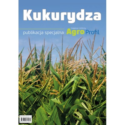 Kukurydza - nawożenie, uprawa, odmiany, technika