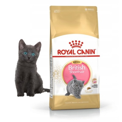 Royal Canin KITTEN BRITISH 10 kg