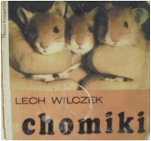 chomiki - L. Wilczek 1968 24h wys