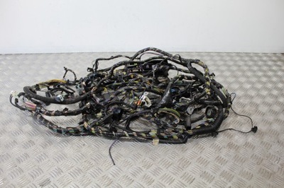 Жгут электрическая салона задний ford kuga mk2 фото №1