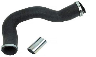 Gt-bergmann шланг воздуха renault laguna iii/latitude 2.0dci фото №1