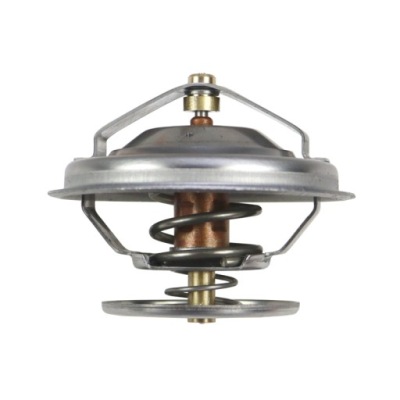 Термостат двигателя andoria фото №1