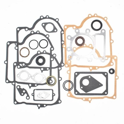 COMPUESTO JUEGO DE FORROS DO BRIGGS STRATTON 495993 ZASTEPUJE #28~1959  