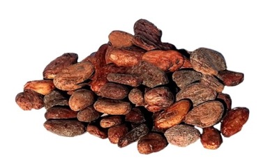 Ziarno kakaowca 250 g surowe od Skworcu