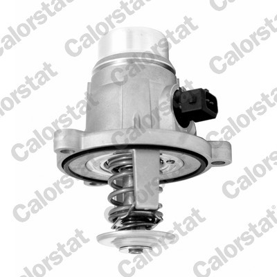 TEMPERATURE REGULATOR BMW 105C E60-E66 X5/X6 7331.105J  