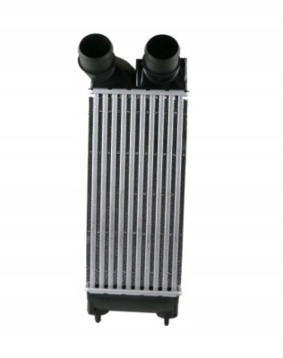 Интеркулер citroen c4 picasso 1.6hdi 2006-2013 фото №1