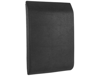 Молдинг бічна стійка p renault master iii 3 2010- фото №1