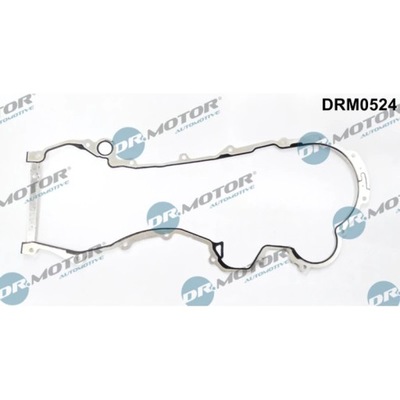 USZCZELKA, COVERING DRIVING GEAR VALVE CONTROL SYSTEM DR.MOTOR AUTOMOTIVE DRM0524  