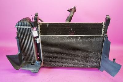 Радиатор renault kangoo ii 1.5dci 8200427466 фото №1