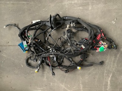 Renault scenic iii 1.2 tce электропроводка жгут 403882629r фото №1