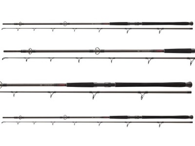 WĘDKA DAIWA EXCELER CATFISH BOJE 330/200-600g