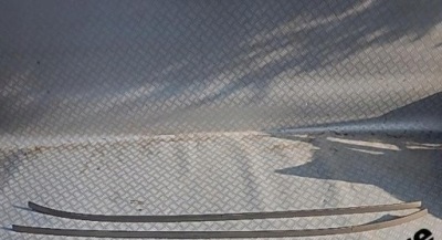 Bmw 3 e91 lift права ліва молдинг дахова фото №1