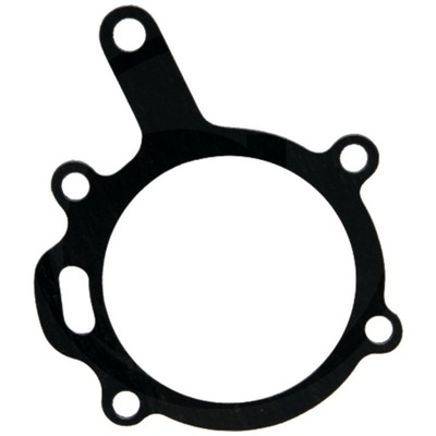 GASKET CASE IH 74715011 3118290R1 GRANIT  