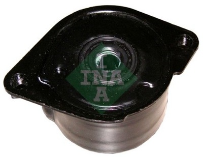 INA 534017010 TENSOR CORREA BMW  