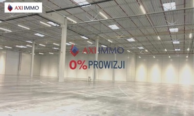 Magazyny i hale, Rzeszów, 1300 m²