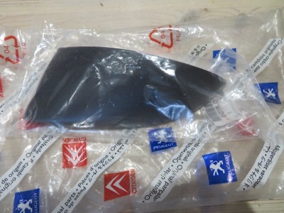 Заглушка левая распылителя peugeot 307 9637546177 фото №1